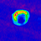 radio/radio_g1.9_chop.fits.small.gif