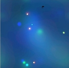 11250/work/tr2.jpg