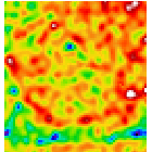 radio/g299_radio_crop.fits.small.gif