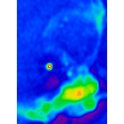 radio/g315.4_radio_crop.fits.small.gif