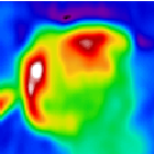 radio/radio_crop.fits.small.gif
