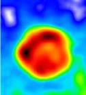 radio/0519_13cm_hgeom.fits.small.jpg