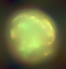 1991/work/tr2.jpg